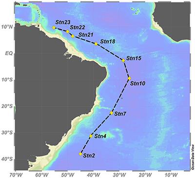 Heterotrophic Extracellular Enzymatic Activities in the Atlantic Ocean Follow Patterns Across Spatial and Depth Regimes